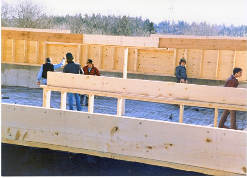 basementwalls.jpg