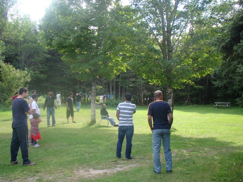 triptobennettlakecricket.jpg