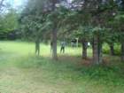 triptobennettlakecricket7_small.jpg