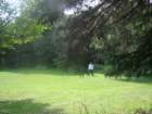 triptobennettlakecricket8_small.jpg